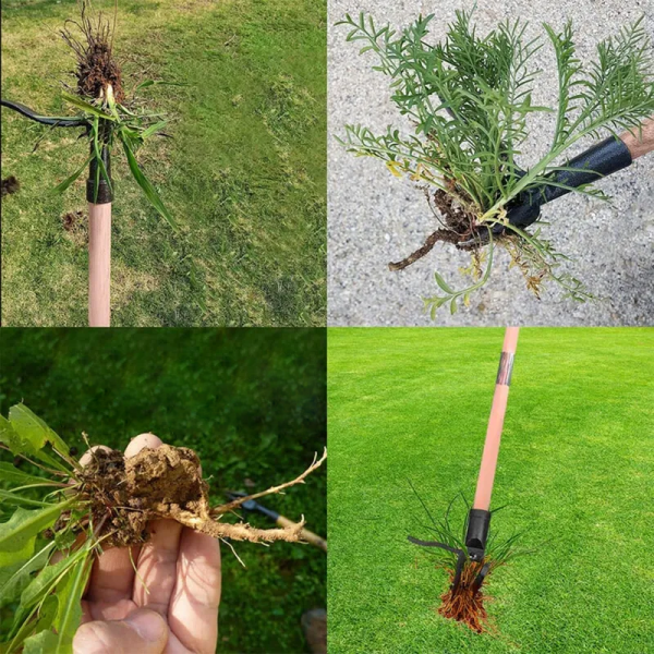 WeedBeGone™ - Ziehen Sie Unkraut heraus, ohne sich bücken zu müssen! Jetzt online – Bild 2