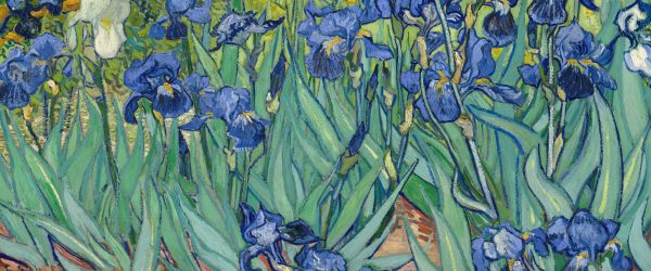 Vincent Van Gogh - Schwertlilien, Glasbild Panorama Mode – Bild 5