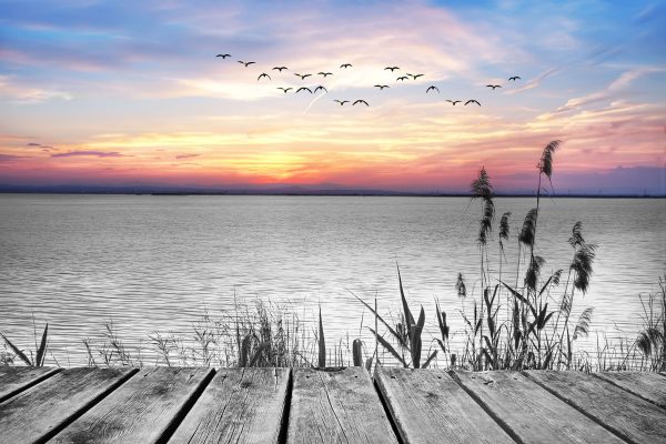 Steg mit Ausblick auf das Meer, Glasbild Online – Bild 5