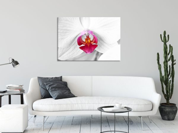anmutige Orchideen Blüte, Glasbild Verkauf – Bild 2