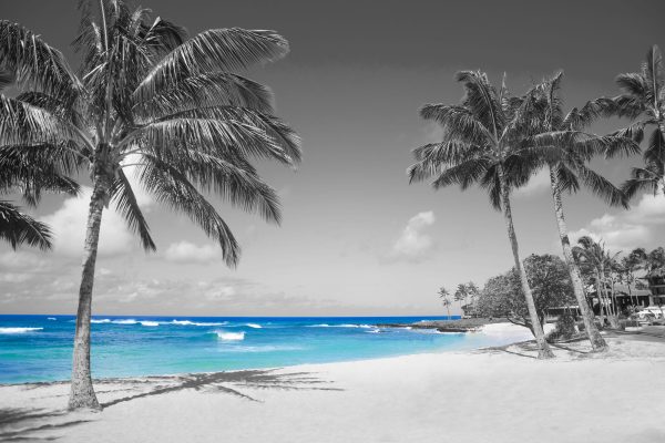 schöner Strand mit Palmen, Glasbild Jetzt online – Bild 5