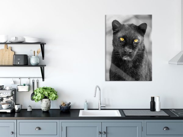 prächtiger Panther, Glasbild Online-Schn?ppchen – Bild 3