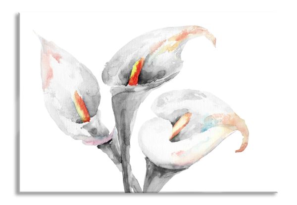 Callas Aquarellblüten, Glasbild Online-Schn?ppchen